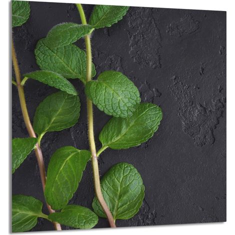 PANEL DE VIDRIO PARA COCINA 60x65 Menta (1/5)