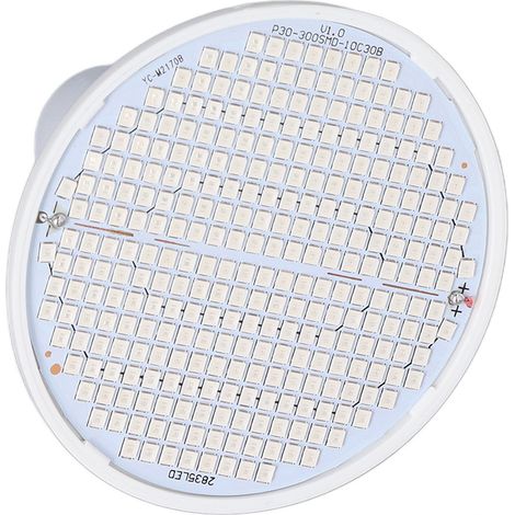 Ampoule LED E27 pour plantes, lumière rouge et bleue, idéale pour la culture de semis en intérieur (85-265 V, culot E27, 300 ohms)