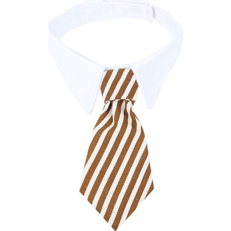 Cravate Pour Chien Chat Lapin - Col Blanc Réglable En Coton - Costume Animal De Compagnie Pour Mariage Fête - 1 Pièce (1/5)