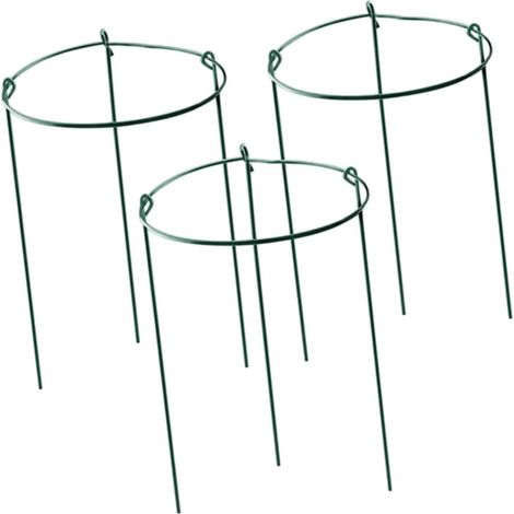 Lot de 3 cages fleurs avec support pour rosiers (1/5)