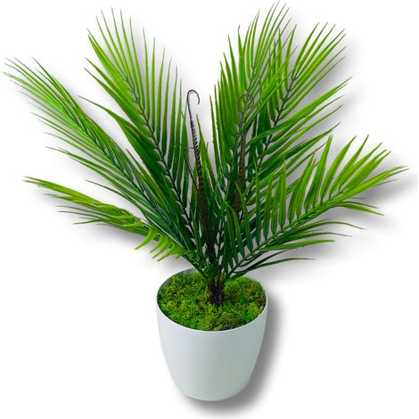 Fiore in vaso - Palma 54 cm (1/5)
