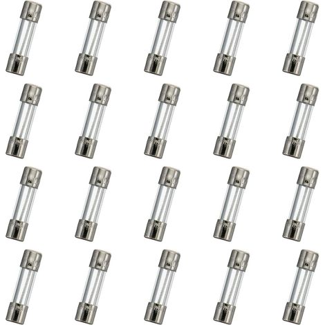 T1AL250V 20pcs 5x20mm slow melting glass fuse 1A 250V 0.2 x 0.78 inch delay fuse (1/4)