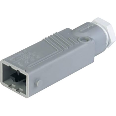 Hirschmann STAS 5 conector macho recto gris 5 polos