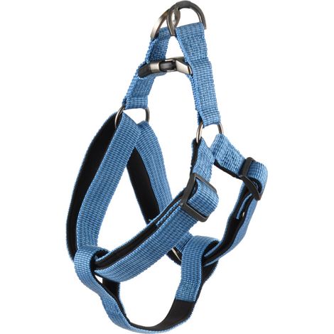 Harnais Jannu S 25-45 cm 15 mm  bleu pour chien - Flamingo (1/5)