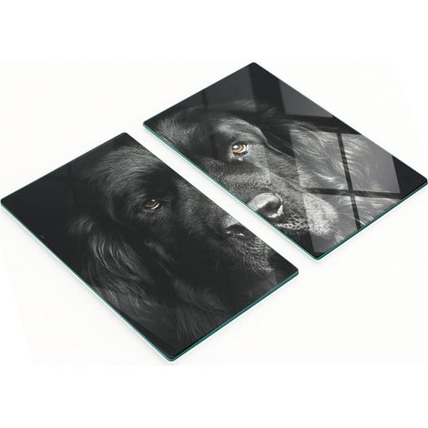 Tablas de servir de cristal para cocina con motivos de Terranova, 2 x 30 x 52 cm.