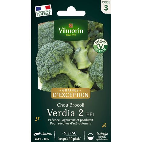 Vilmorin Chou Brocoli Verdia 2 HF1 - Graines d'exception (1/2)