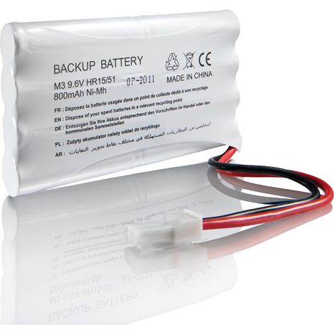 SOMFY 2400720 - Batterie de secours pour moteurs de portail et/ou porte de garage - Compatible moteurs Freevia, Slidymoove, Evolvia, Exavia, SGA, SGS et GDK