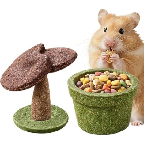 Hamster Jouet à mâcher pour petits animaux de compagnie (1/5)