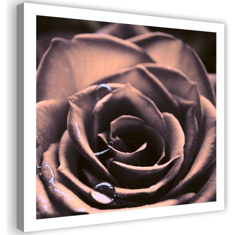 Tableau sur toile Plante à fleurs de rose 40x40 (1/5)