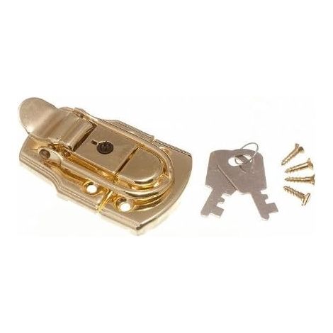 1 loquet de verrouillage en laiton plaqué EB de 72 mm x 45 mm avec 2 clés (1/2)