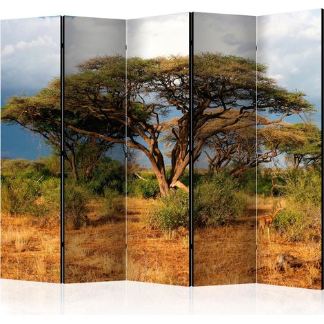 Paravento - Samburu National Reserve, Kenya II [Room Dividers] - 225x172 (1/4)