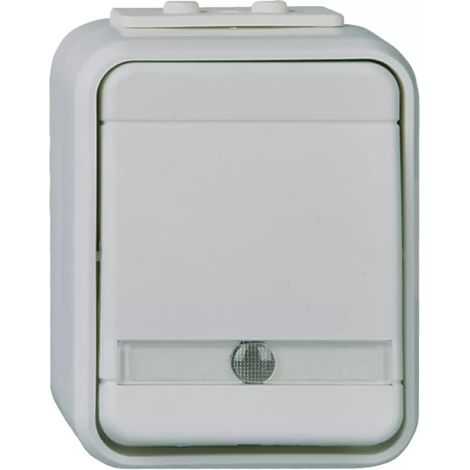 Elso Universal-Schalter beleuchtet 10A AquaTop Steckklemme licht/basaltgrau ELG441619 (1/2)