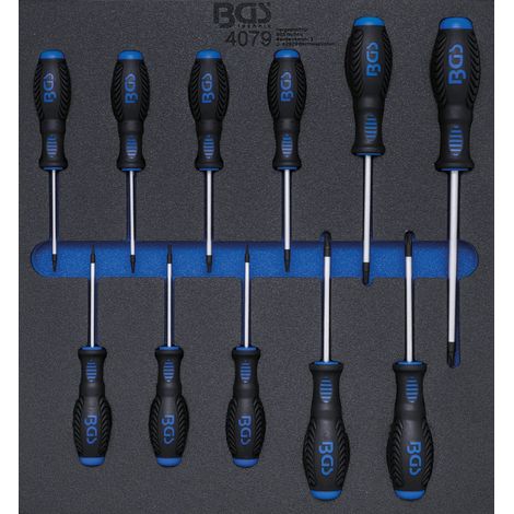 Inserto per carrello officina BGS 2/3: Cacciaviti profilo T (per Torx) T6 - T40 11 pz. - 4079