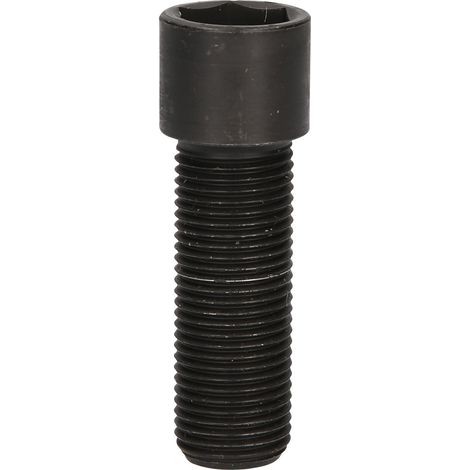 Vite di fissaggio, M16x1,5, 60 mm lunga (1/2)