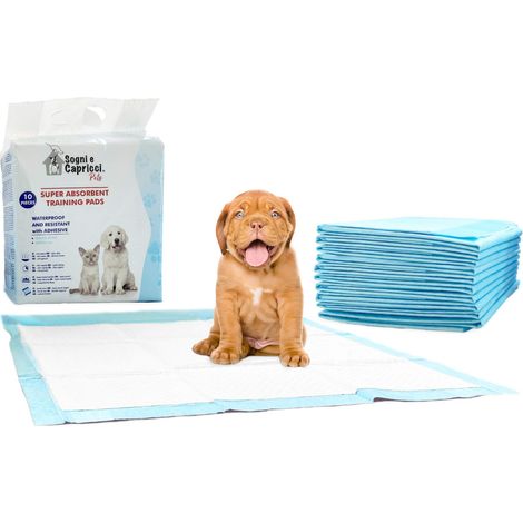 Italian Bed Linen Tappetino Assorbente Pets, Neutro, 1 Busta (10 Pezzi) (1/5)