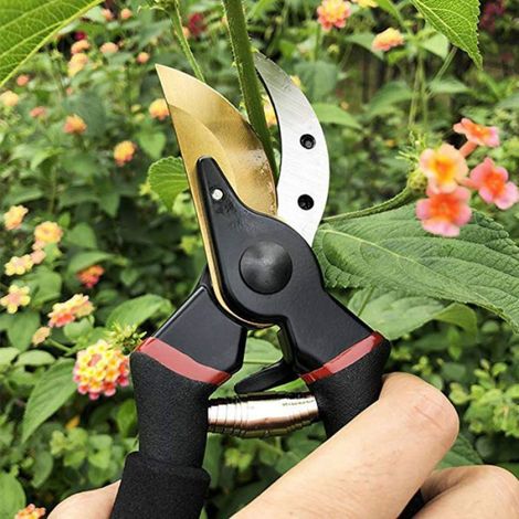 Sécateur - Lame Franche - Acier Et Titane - Coupe Bypass Pour Bois Sec Et Fleurs - 1 Pièce (1/5)