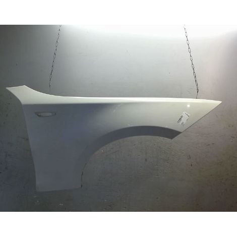 [PRODUIT D'OCCASION] Aile Avant Droit BMW Serie 1 ♻️ Ref Oe. 41357133228 - Garantie à vie (1/3)