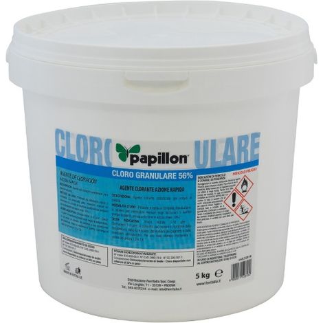 CLORO PISCINA POLVERE 5KG GRANULARE 56% PAPILLON (1/3)