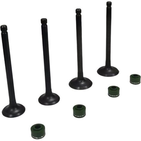 Joints de queue de soupape 253FMM compatibles avec les moteurs de moto Honda CBT250, CA250 et CMX250 (1/3)