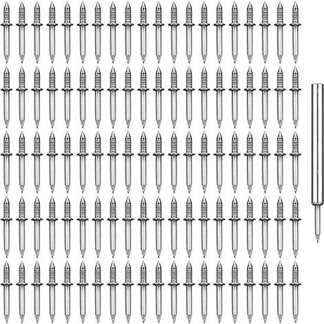 Doppelnagel Nahtloser Nagel 100 Stück Schrauben in den Größen 1,7 und 0,85 cm 1 Steckschlüssel Unsichtbare Nagelschrauben Spezial Steckschlüssel (1/5)