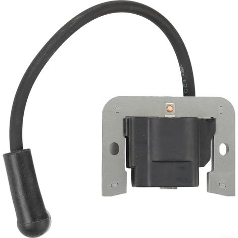 Module d'allumage compatible 20 584 03-S 2458445S Module d'allumage Compatible 24 584 45-S, 24 584 01-S, 20 584 03-S, plastique , installation directe (1/5)