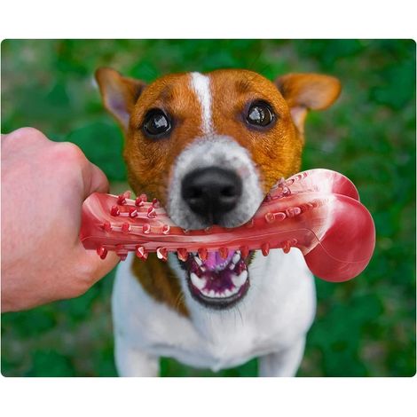 Ensemble de jouet pour chien (1 pièce), os à mâcher, baguette de nettoyage des dents en caoutchouc anti-morsure pour chiens de taille moyenne et grande