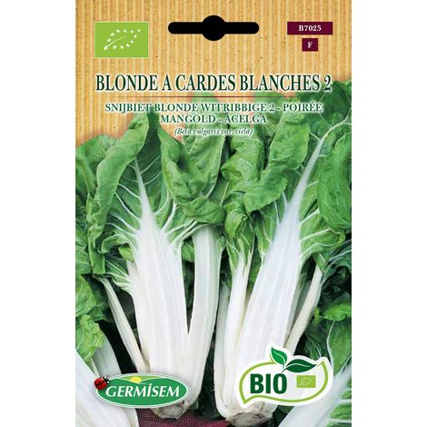 Graines Poirée BLONDE A CARDES BLANCHES 2