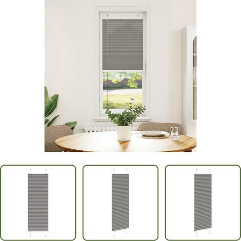 vidaXL Sonnenschutz - Plissee Anthrazit 50x100 cm Stoffbreite 49,4 cm Polyester (1/5)