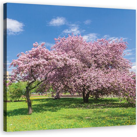 Cadre déco Feuilles roses Arbres 40x40 (1/5)