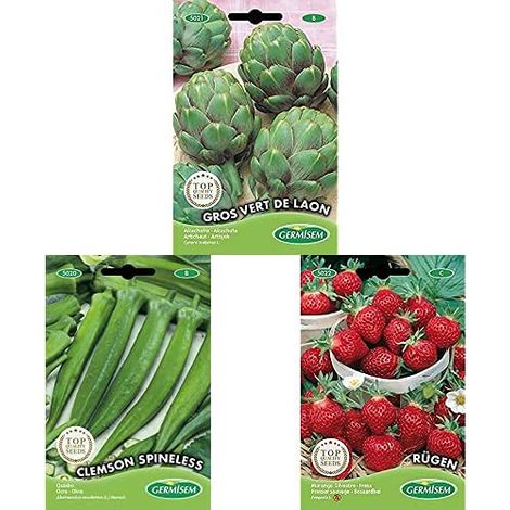 Graines de Fraises+Clemson Spineless Graines de Okra+Artichaut GROS VERT DE LAON