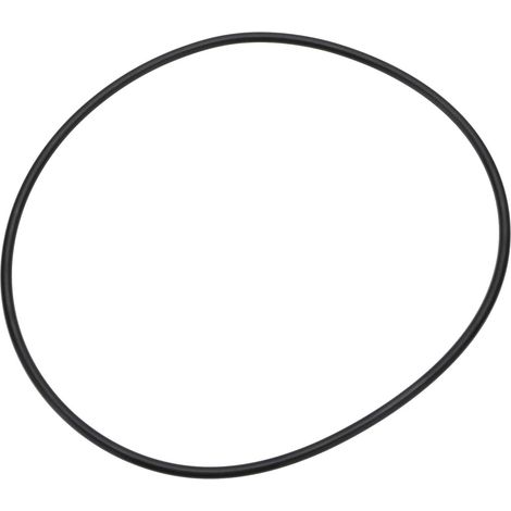 1 joint d'étanchéité de rechange compatible avec filtre HW-702 1000l/h ou 1000EF Taille 210 mm Diamètre extérieur 5 mm (1/5)
