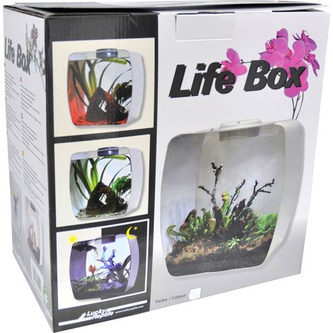 Lucky Rettile Life Box terrario Design