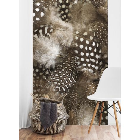 Papier peint intissé panoramique, motif plumes douces, 250 cm X 150 cm (1/2)