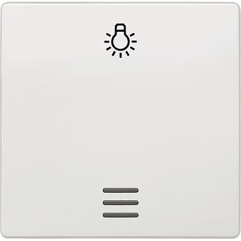 Interrupteur a bascule avec symbole lumiere et fenetre blanc titan 55x55mm type de protection IP20 1pc