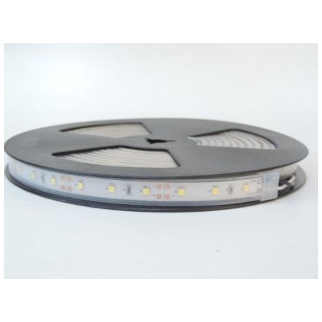 Bandeau LED 14.4W/m 6000K flexible extérieur longueur 5m 60leds/m alimentation 12V DC (non incl) IRC80 IP66 TRAJECTOIRE 003781 (1/2)