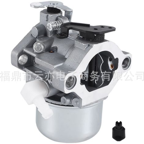 Carburateur compatible avec Briggs & Stratton 28M707 28R707 28T707 28V707 694941 699831 (1/5)