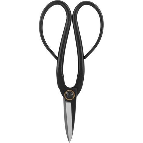 Ciseaux d’élagage professionnels pour bonsaï – Lame en acier inoxydable, 200 mm, noir, 1 pièce (1/5)