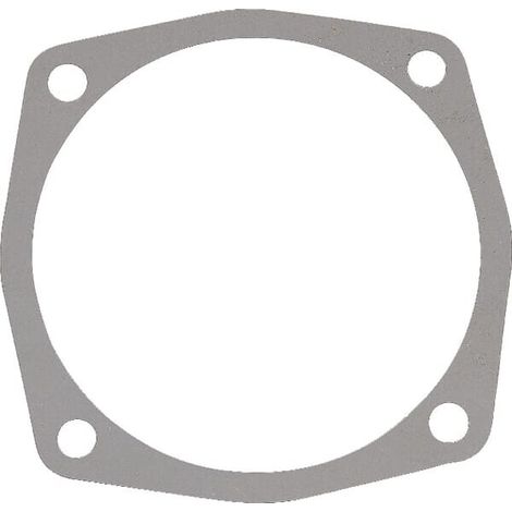 Junta 0,1 mm MASCHIO M27100133R