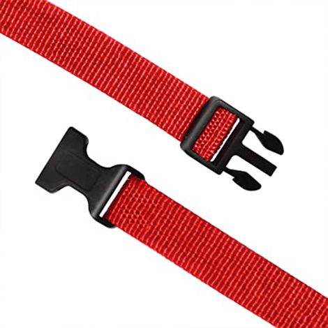 Collier pour chien avec sangle ajustable, style classique, convenant à toutes les races de chiens, petits, moyens et grands. (1/5)