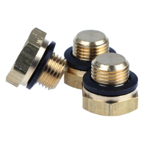 Bouchon obturateur Legris série 0220 G 1/8 Laiton ( Prix pour Paquet de 10 )