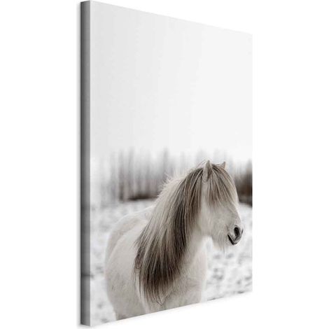 Peinture - Crinière de cheval (1 partie) verticale (1/5)