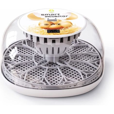 Incubator, capacity 12 eggs, LED display, transparent