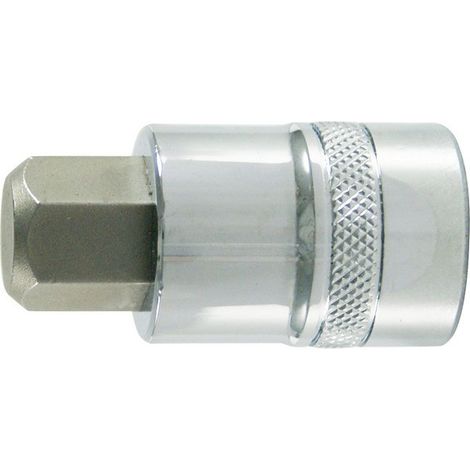 Bit Di Avvitamento 1/4 '' Per Viti Femmina 6 Lati, Lucido, Costa S / Piatto: 6 Mm Di Lunghezza. 30 Millimetri