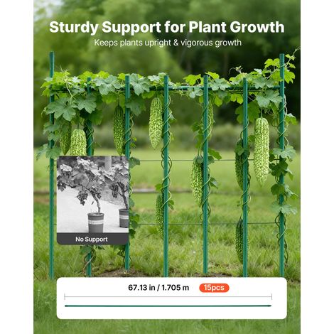 Tuteur Plante 1,7 m Tuteur Plante Grimpante 15 PCS Tuteurs à Tomates Jardin pour Soutien Plantes Grimpantes Légumes Extérieur, Méta… (1/5)
