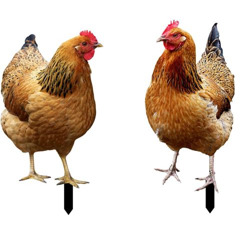 Estatua de gallina, estacas de jardín, figuras de pollo, inserto de suelo para césped al aire libre, 2 piezas (1/5)