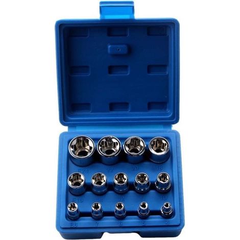 Lot de 14 douilles Torx femelles E4-E24 E-Torx hexagonales (1/4)