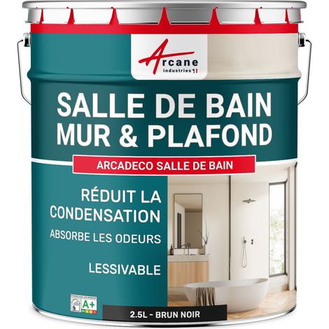 Peinture salle de bain, mur et plafond, condensation - 2.5 L Brun noir - RAL 8022 - ARCANE INDUSTRIES (1/5)