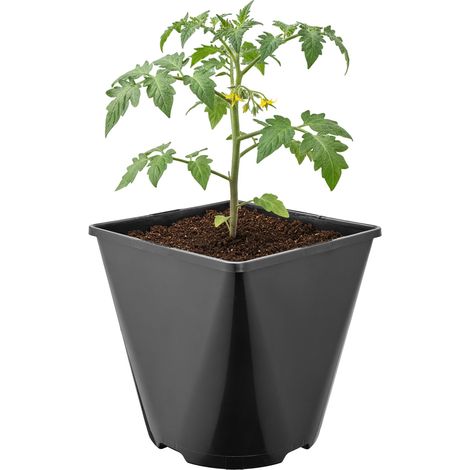 Garronda Pot de Fleur Carré Arrondi Plastique 15,7 × H 16 cm (3L) Godet Semis Pot de Pépinière Drainage Résistant Intempéries pour Culture Plantes Jardin Serre Intérieur Extérieur GD-0200