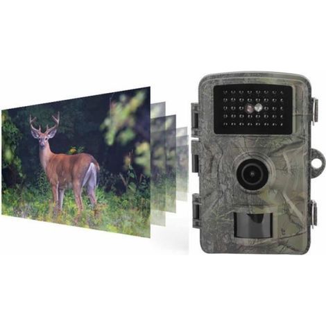 Caméra De Chasse - 16 MP - 1080P - Étanchéité IP66 - Camouflage - 1 Pièce (1/4)