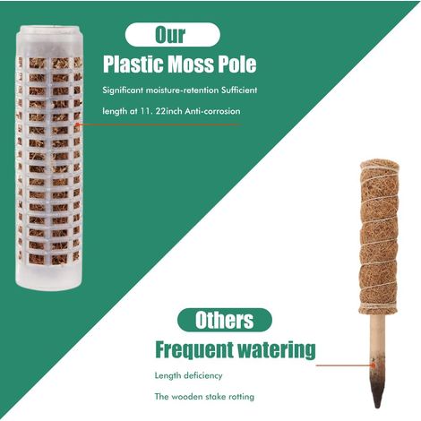 Tuteur en mousse de 25 cm en plastique et fibre de coco, pour plantes grimpantes d'intérieur. (1/4)